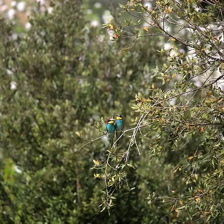 Lovely Tuscan Апартаменти