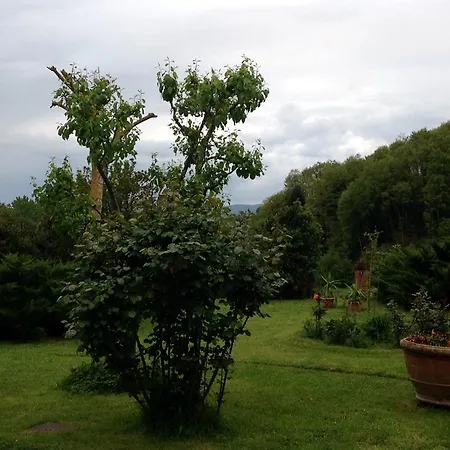 Lovely Tuscan