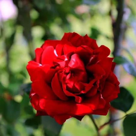 Lägenhet Lovely Tuscan Siena