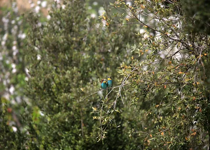 Lovely Tuscan Διαμέρισμα